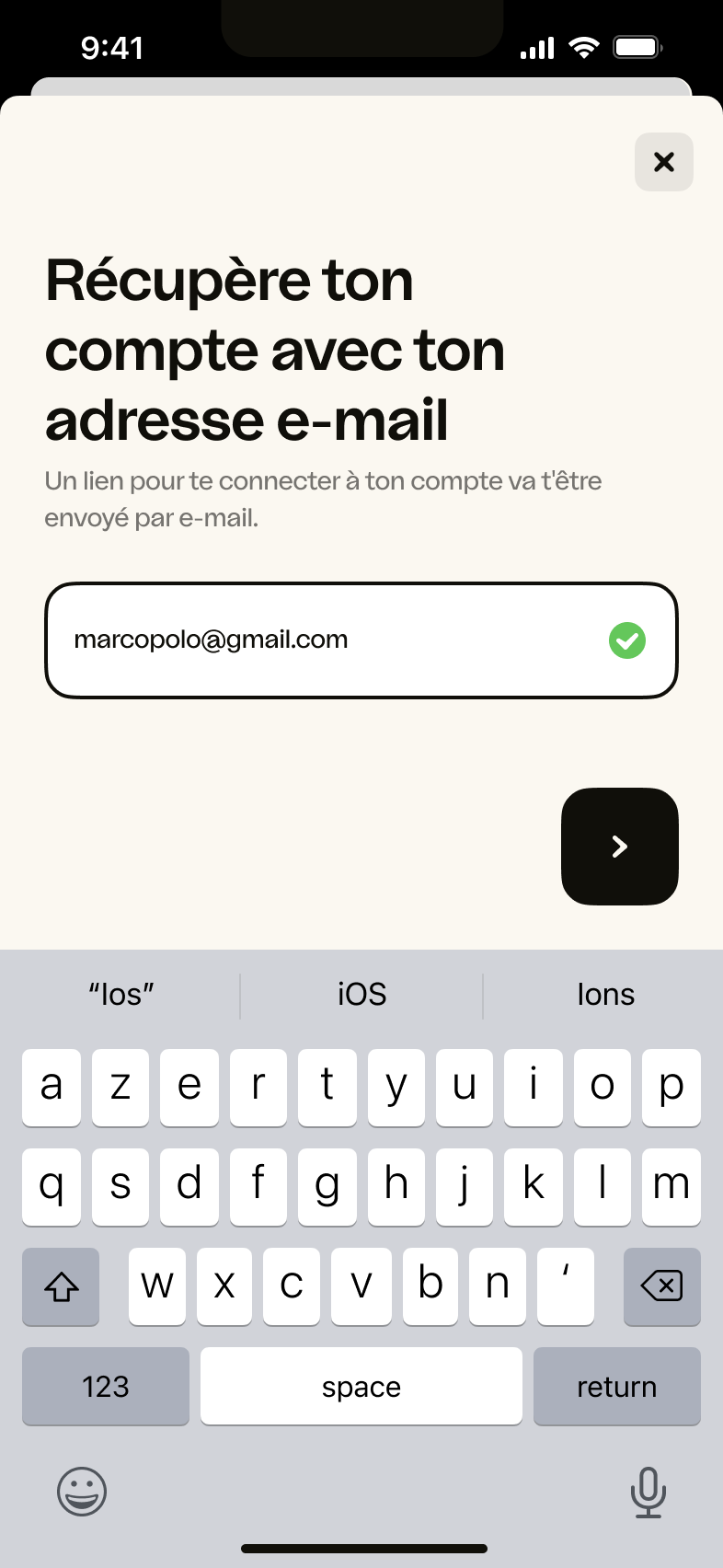 iOS – E-mail saisi
