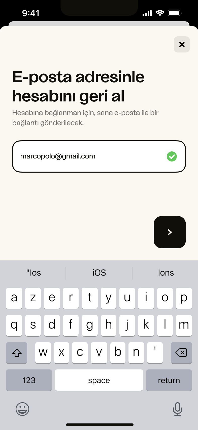 iOS – E-mail ingevuld